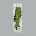 宇治オーガニック（やぶきた・一番茶）