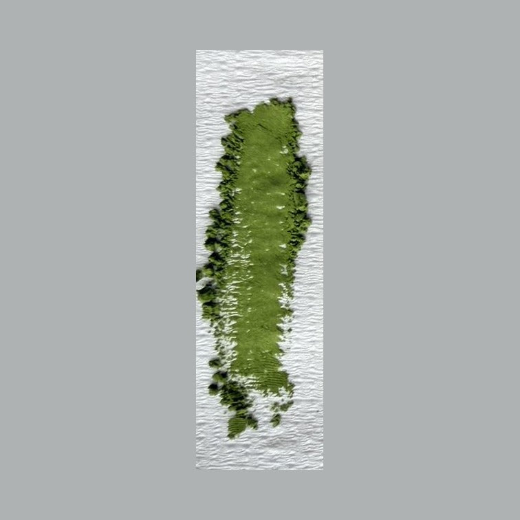 宇治オーガニック（やぶきた・一番茶）